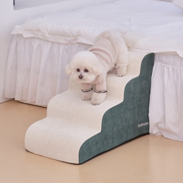 페오펫몰,개과천선 벨로우 펫스텝