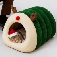 개과천선 메린 소라 고양이 하우스