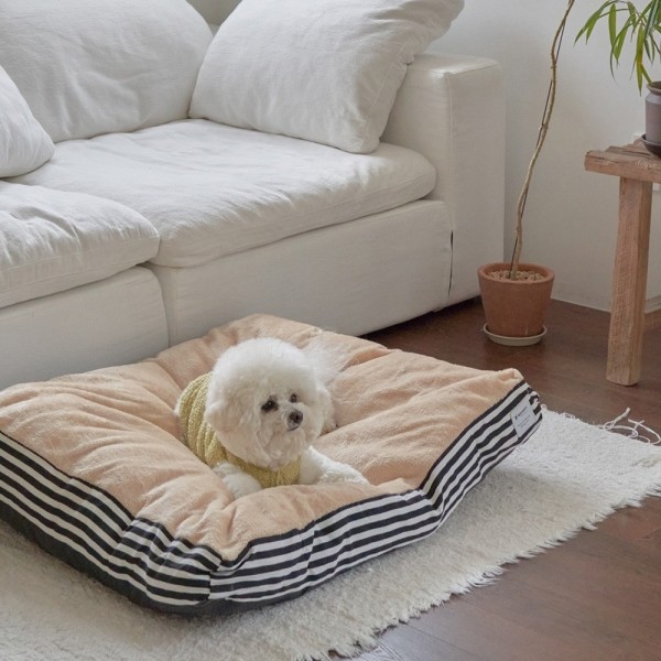 페오펫몰,개과천선 벨루네 강아지 대형 쿠션 고양이 방석