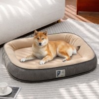 개과천선 아르베라 강아지 대형 쿠션 고양이 방석