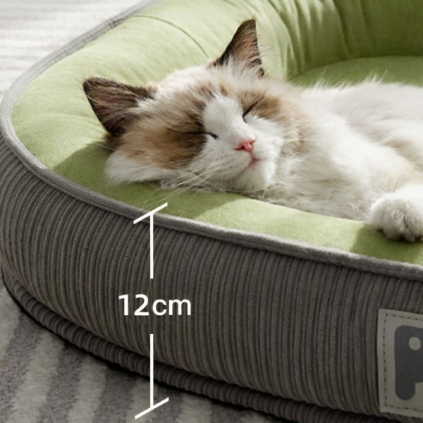 페오펫몰,개과천선 아르베라 강아지 대형 쿠션 고양이 방석