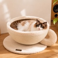 개과천선 어몽드 홈카페 고양이 스크래쳐