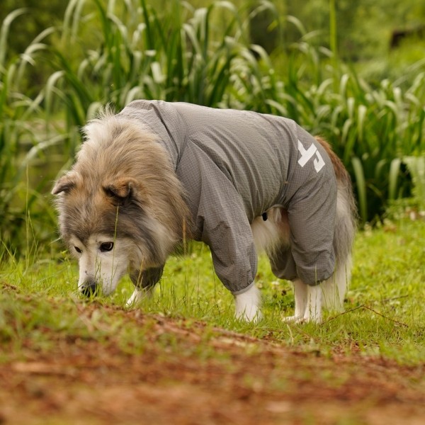 페오펫몰,인터라켄 스위시 강아지 올인원 바람막이 윈드브레이커