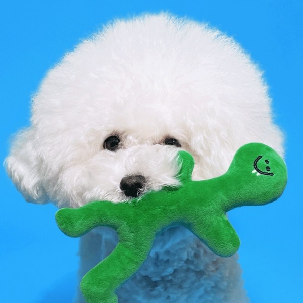 페오펫몰,[댕냥데이특가] 강아지 바스락 삑삑이 터그 장난감 올리