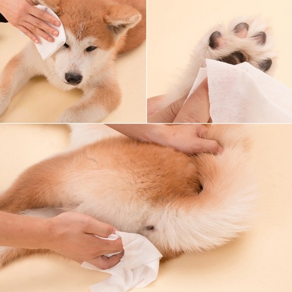 페오펫몰,[메이웰] 펫전용 물티슈 닥터티슈 똥꼬 30매