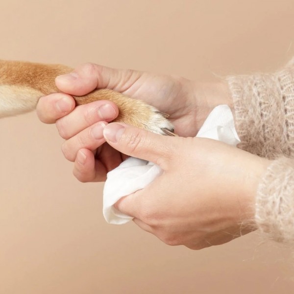 페오펫몰,[메이웰] 펫전용 물티슈 닥터티슈 똥꼬 30매