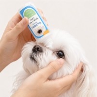[메이웰] 닥터드롭스 눈세정제 60ml
