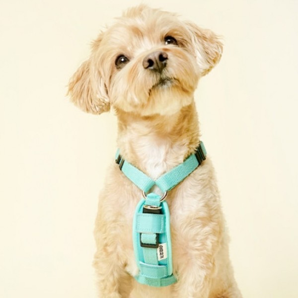 페오펫몰,아띠지기 강아지 산책 텐션 보호 쿠션 아띠가드 6color