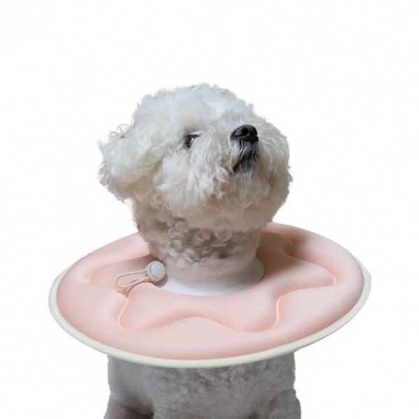 페오펫몰,더플래 강아지 고양이 반반 초경량 넥카라 [최저가]
