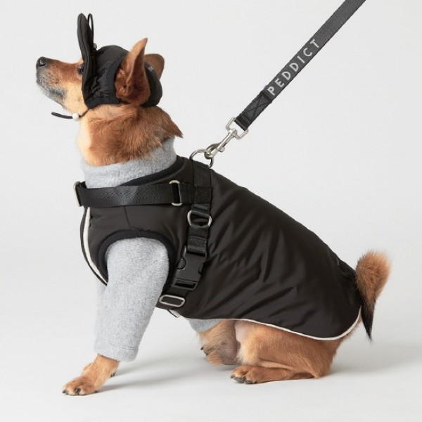 페오펫몰,페딕트 리버시블 경량 패딩 베스트 블랙 (S~XL) [최저가]