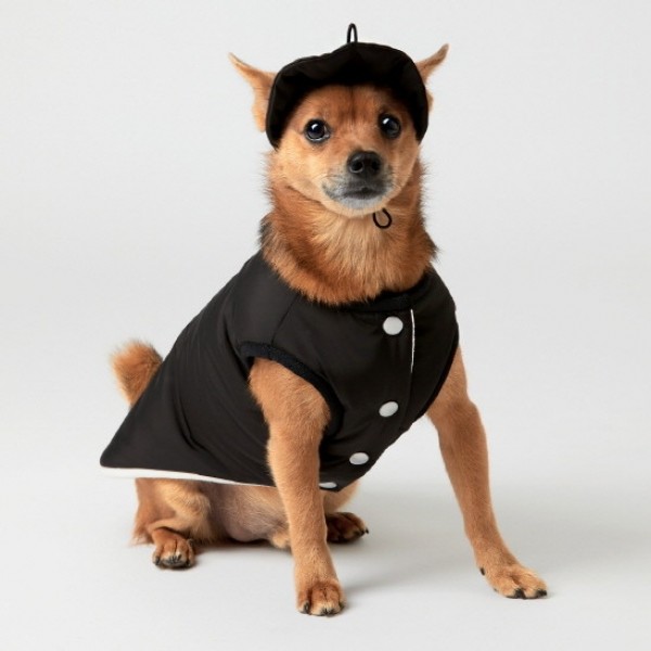 페오펫몰,페딕트 리버시블 경량 패딩 베스트 블랙 (S~XL) [최저가]