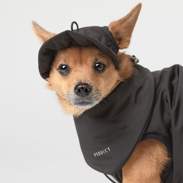 페오펫몰,페딕트 2온스 패딩 모자 블랙 (S~L) [최저가]