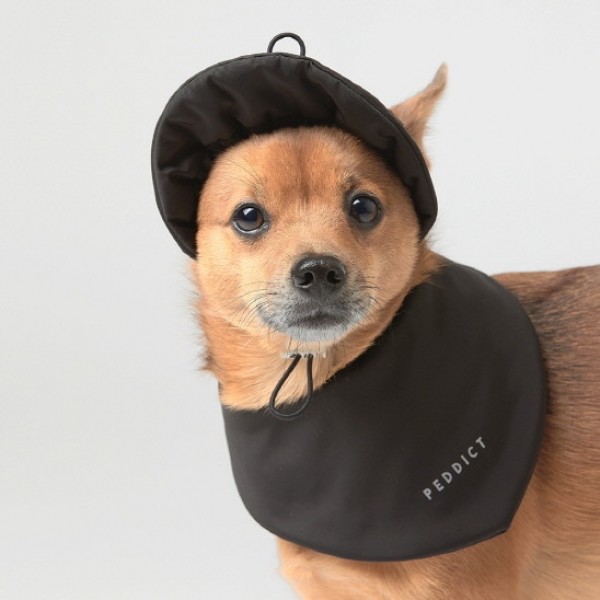 페오펫몰,페딕트 2온스 패딩 모자 블랙 (S~L) [최저가]