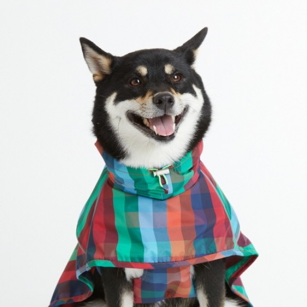 페오펫몰,페딕트 워터프루프 레인코트 멀티체크 (M~5XL) [최저가]