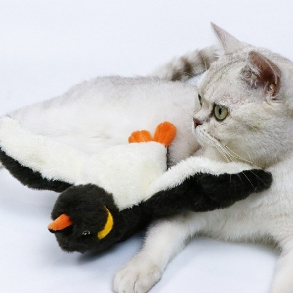 페오펫몰,펫케어 춤추는새 펭귄 움직이는 고양이 캣닢 자동 장난감 [최저가]