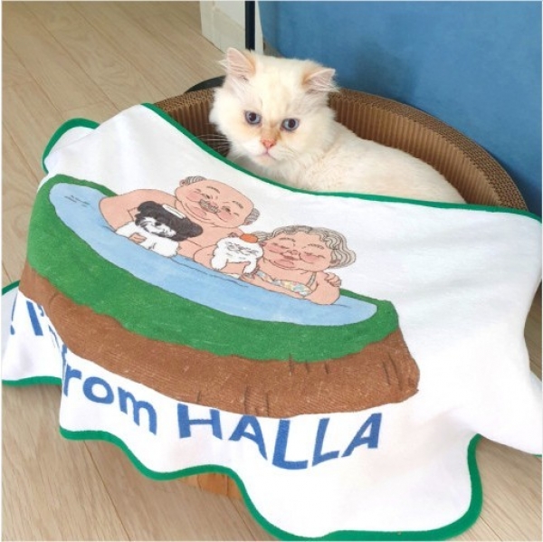 페오펫몰,프롬한라 강아지 고양이 초극세사 펫타월 [최저가]