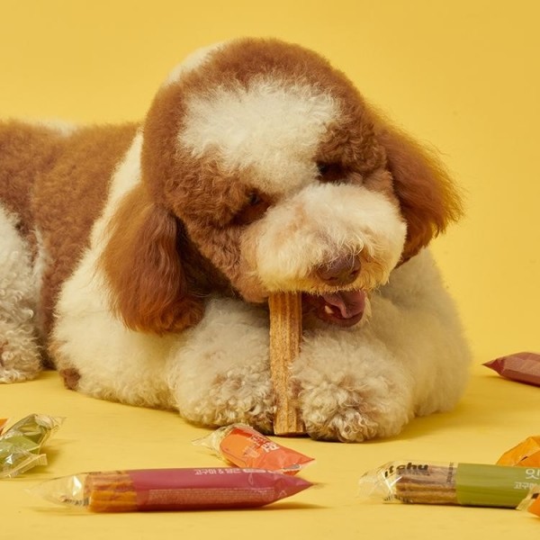 페오펫몰,[핏펫] 잇츄러스 점보 오리지널 덴탈껌 2종 (5개입) 대형견 오래먹는 간식