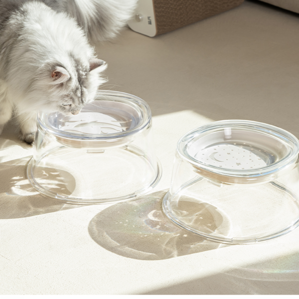 냥쌤 투명수반 (갤럭시/아쿠아리움) 고양이 물그릇 식기 수반