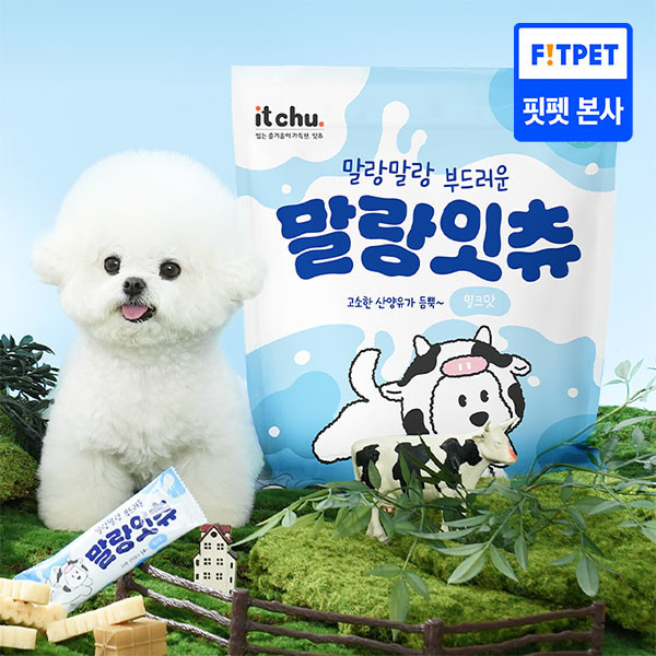 [핏펫] 말랑잇츄 부드러운 강아지 덴탈껌 대용량 45개입 2종 택 1(밀크맛/딸기우유맛)