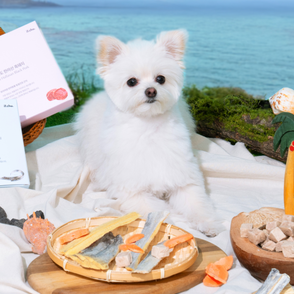 페오펫몰,[핏펫] 잇츄 제주도산 강아지 고양이 동결건조 3종 택 1