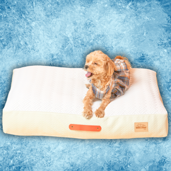 페오펫몰,[핫썸머특가] 즉시 느껴지는 시원함 견이로움 강아지 애견 쭉쭉 쿠션 방석 침대 중형 대형 특대형