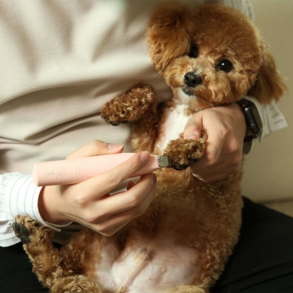 페오펫몰,피버 미니 트리머 핑크