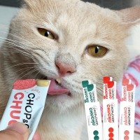 [핫썸머특가][찹앤찹] 저염츄르 고양이간식 찹찹츄츄 4가지맛 5박스(총30개입) 모음