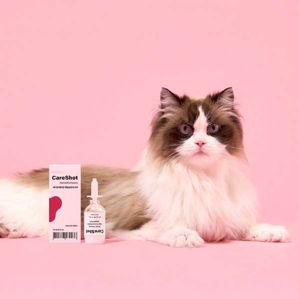 페오펫몰,[버디부] 케어샷 레날+유리너리 영양제 15ml
