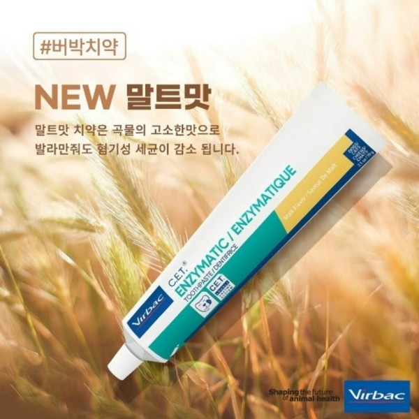 버박 말트맛 치약