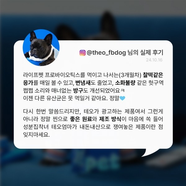 페오펫몰,[새해특가] 라이프펫 강아지 유산균 면역영양제 프로바이오틱스 60g