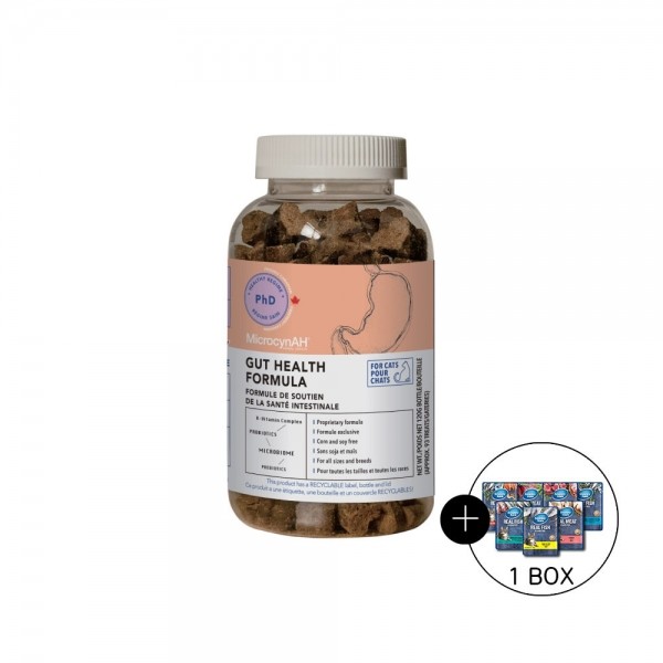 페오펫몰,마이크로신 캣 장 건강 120g 스내피톰 파우치 85g 12개 증정