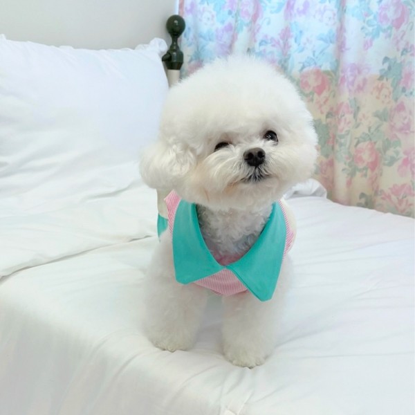페오펫몰,우니토 디저트샵 원피스