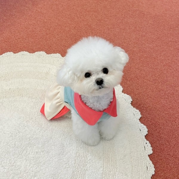 페오펫몰,우니토 디저트샵 원피스