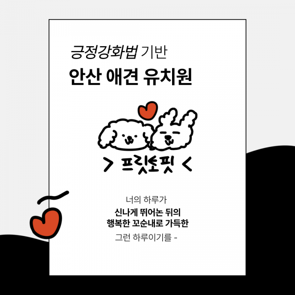 페오펫몰,[제휴 혜택] [프릿토핏] 경기도 안산시 애견유치원 입학상담 [100%]