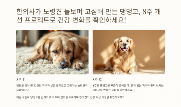 페오펫몰,댕댕고[한방애장수] 노령견을 위한 특별한 보약 간식