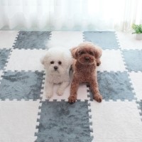 딩동펫 반려동물 플러시 퍼즐매트 30cm 10P