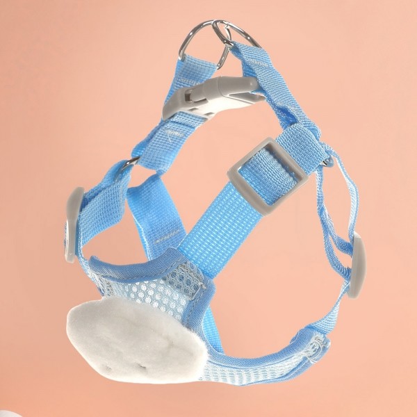 페오펫몰,딩동펫 강아지 초경량 캔디 멜빵 하네스 리드줄 세트