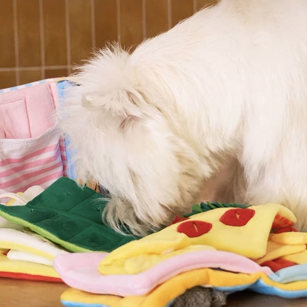 페오펫몰,딩동펫 강아지 런치박스 노즈워크 바스락 삑삑이 플레이북