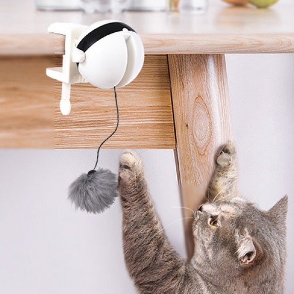 페오펫몰,딩동펫 고양이 장난감 움직이는 요요볼