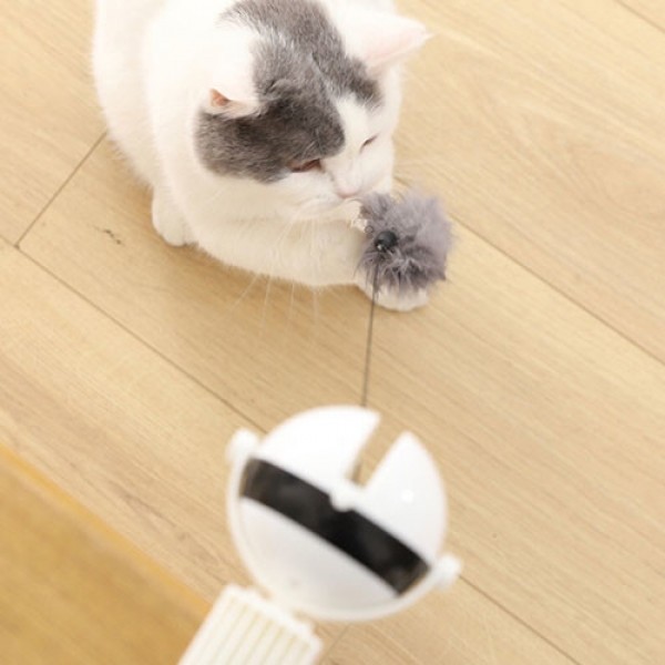 페오펫몰,딩동펫 고양이 장난감 움직이는 요요볼