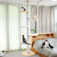 딩동펫 고양이 수플레 5단 스크래쳐 캣폴