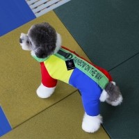 딩동펫 반려동물 레인보우 패딩 하네스 올인원