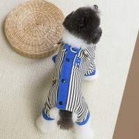 딩동펫 반려동물 똑딱 스트라이프 하네스 카라패딩 올인원