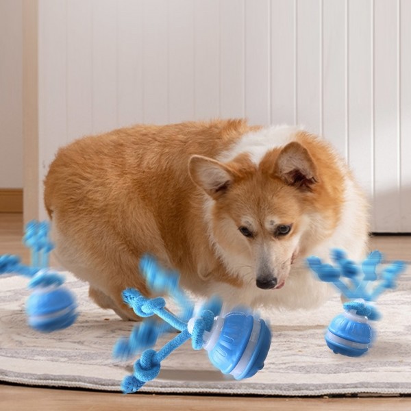 페오펫몰,딩동펫 반려동물 로프 터그공 자동 장난감