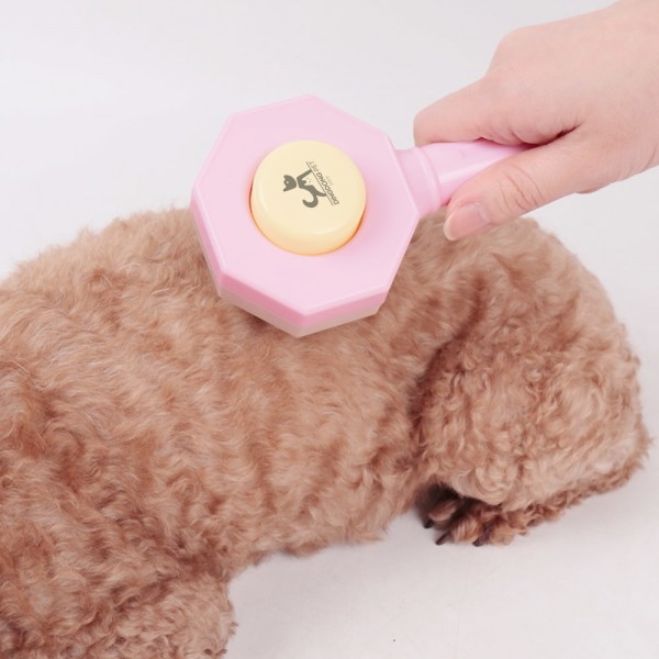 페오펫몰,딩동펫 반려동물 파스텔 육각 원터치 브러쉬