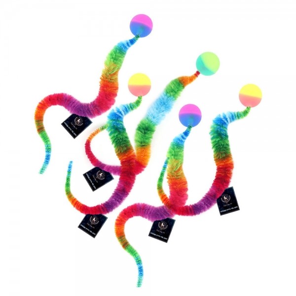 딩동펫 고양이 무지개 탱탱볼 지렁이 장난감 5종 세트