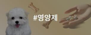 영양제