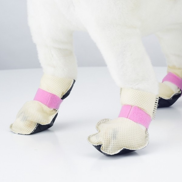 페오펫몰,[메리댕특가]나트리스 강아지 산책용 일회용 신발 양말 80매