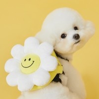 [댕냥데이특가] 강아지 반려견 애견용품 가방 하네스 스마일 꽃